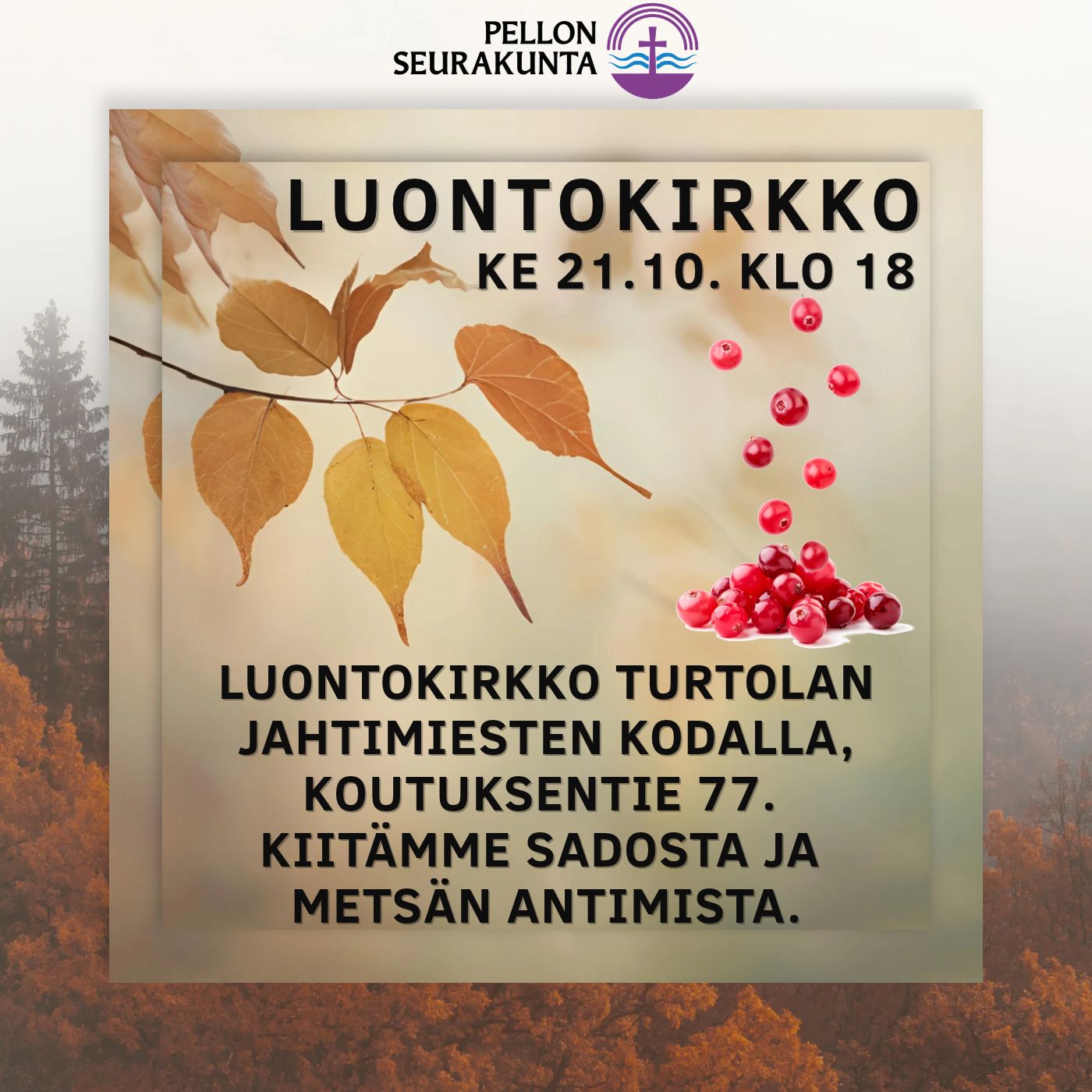 Luontokirkon mainos