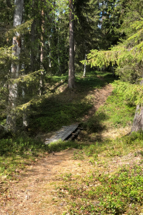 Kesäkerhot 4.-8. -vuotiaille Kesäkerhot 4.-8. -vuotiaille